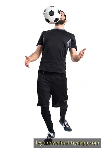 乐鱼App移动端安装指引